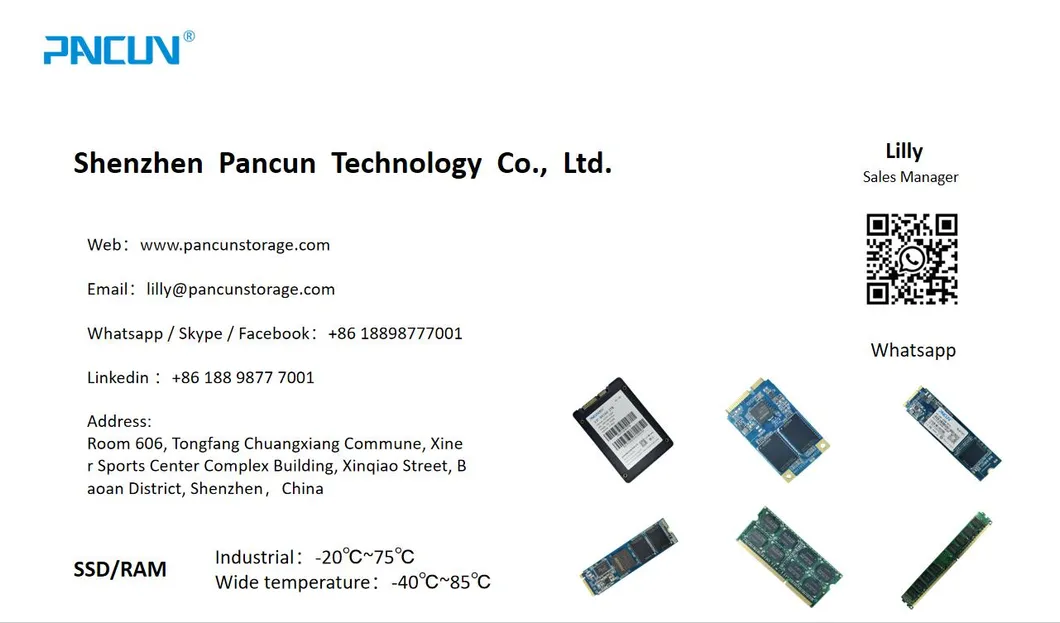 100mm*69mm*7 Factory Wide Temperature IDE SSD 2.5inch PATA -40 to 85 Internal SSD Solid State SLC MLC SSD Disk for Industrial Computer