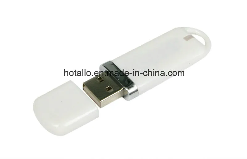 Classic Plastic USB Flash Drive with Logo