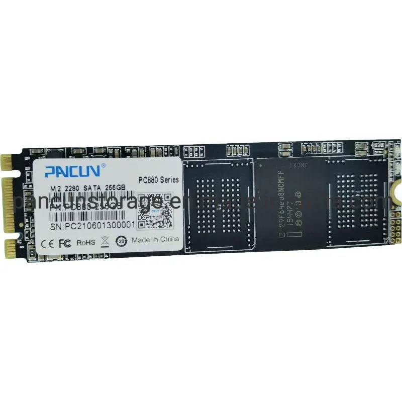 Pancun Manufacturer 256GB with Cache 3D Nand Tlc M.2 2280 SATA III 6GB/S Internal Solid State Drive SSD (Read/Write Speed up to 500/400 MB/s) Compatible with La