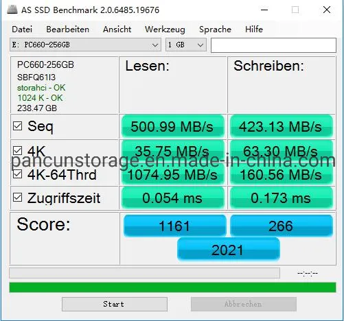 Pancun Manufacturer 256GB with Cache 3D Nand Tlc M.2 2280 SATA III 6GB/S Internal Solid State Drive SSD (Read/Write Speed up to 500/400 MB/s) Compatible with La